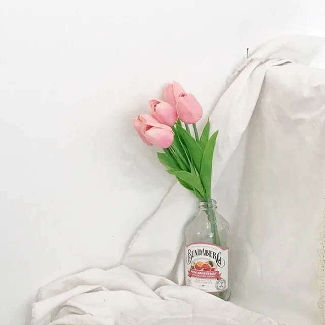 쪼꼬미꼼