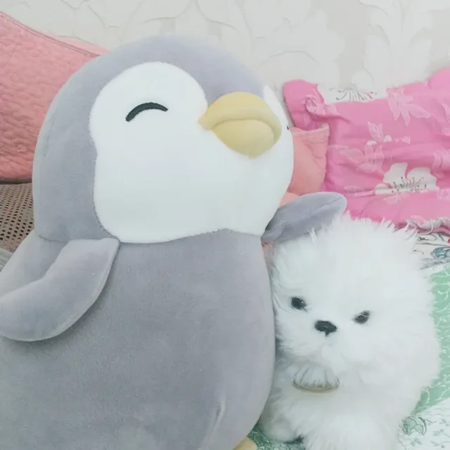 치즈냥이