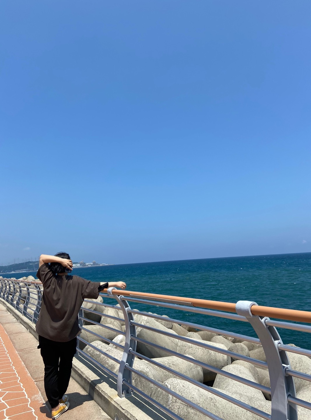 당당한핸크