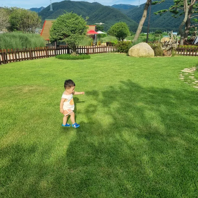 탄이냥