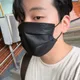 이드현