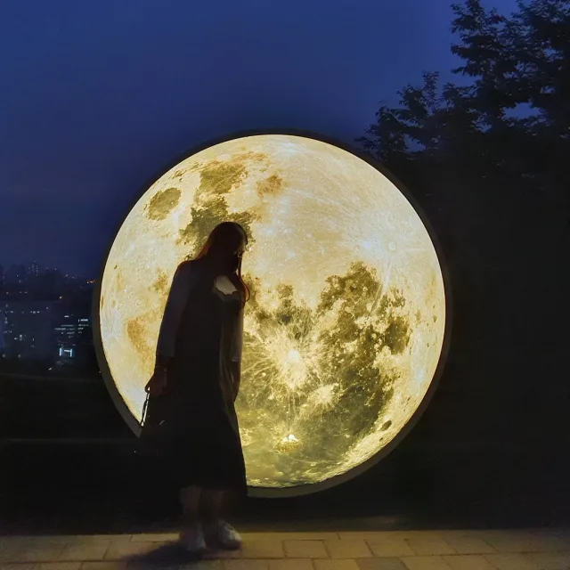 효보