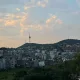 해피