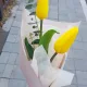 빵꾸똥꾸