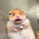 아따반갑구려
