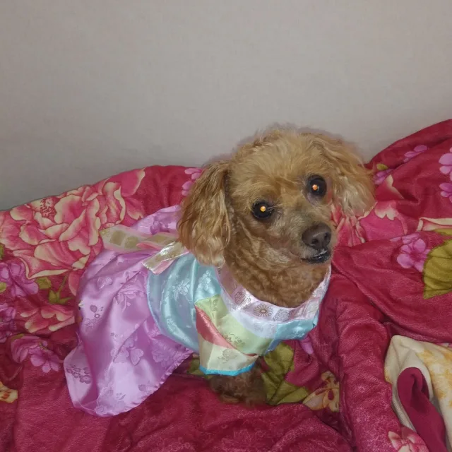 뚱이아빠