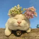 뜨미