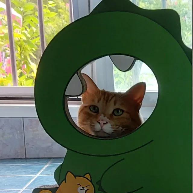 지젤