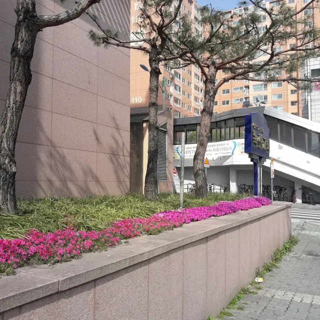 복된교회