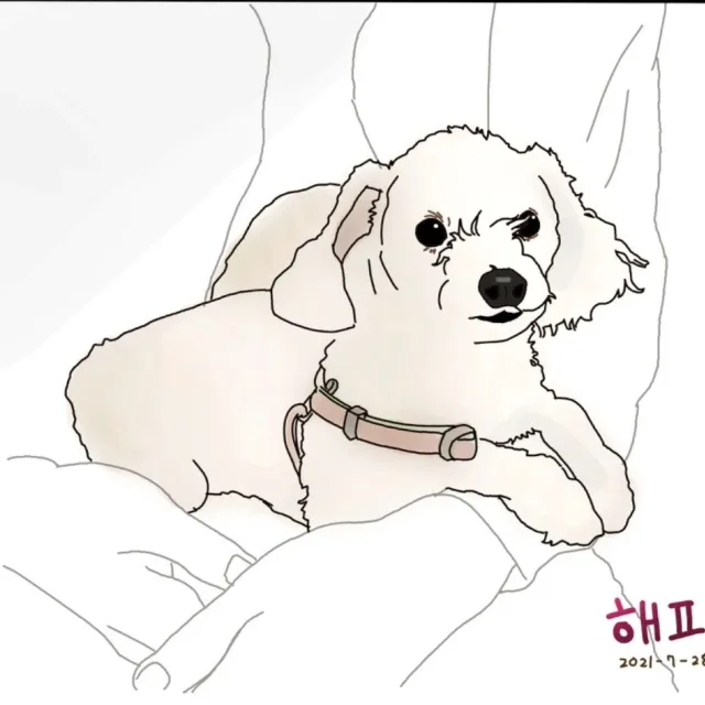 유찡