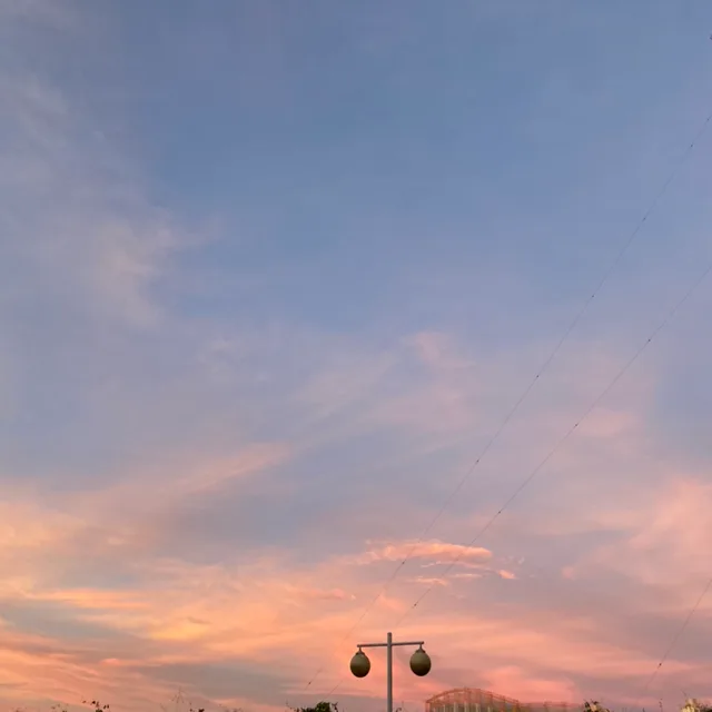sunnysidee