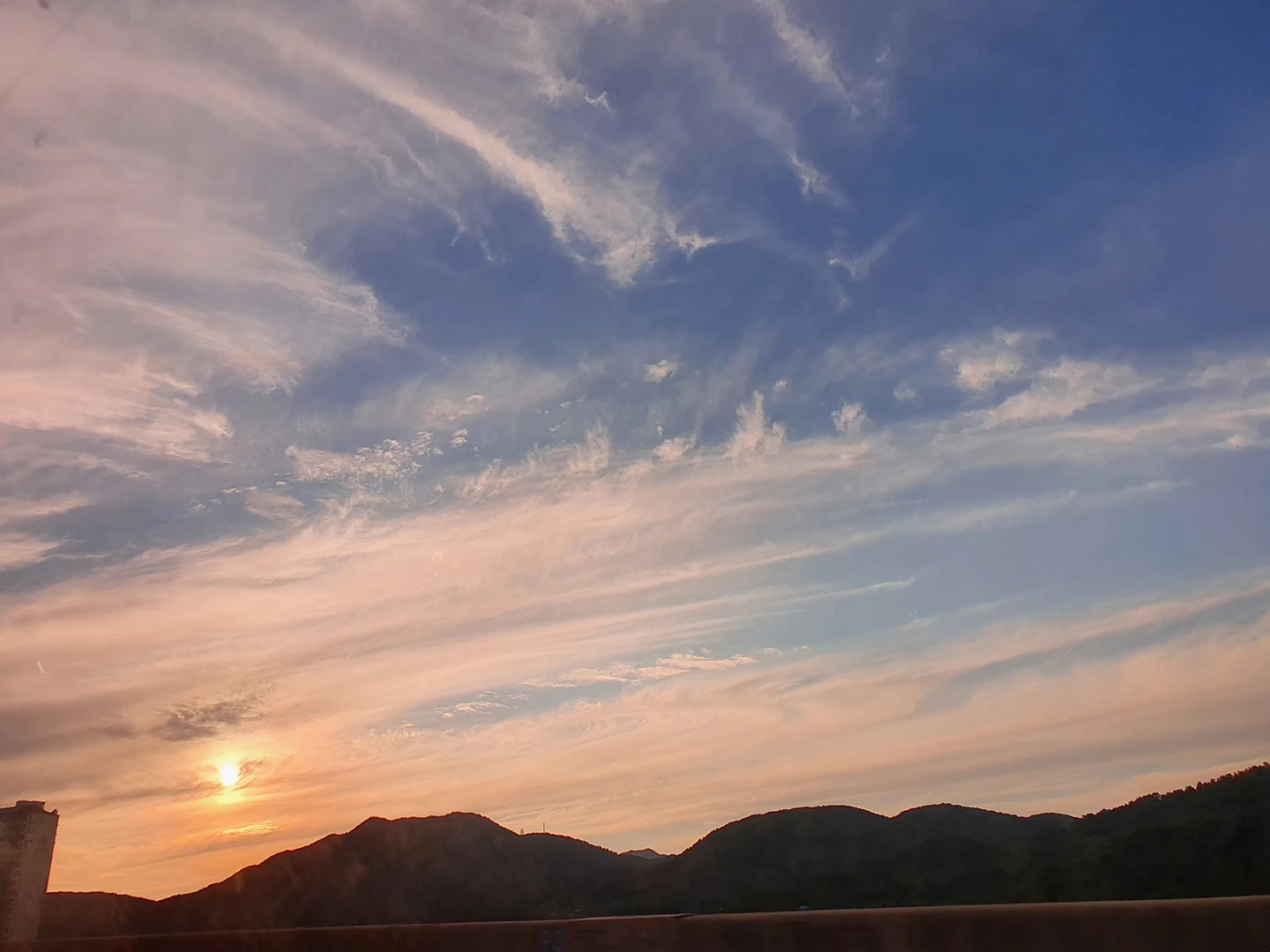 멋진오늘
