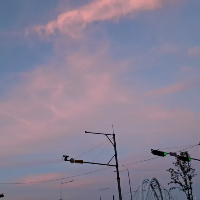 무무