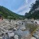 당근팀