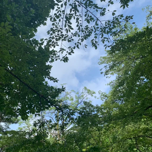 먼지언니