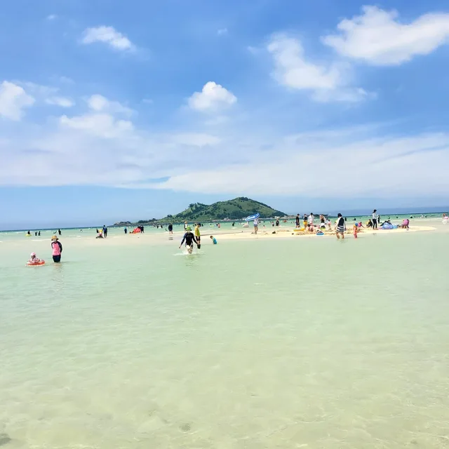 슬기로운박달생활