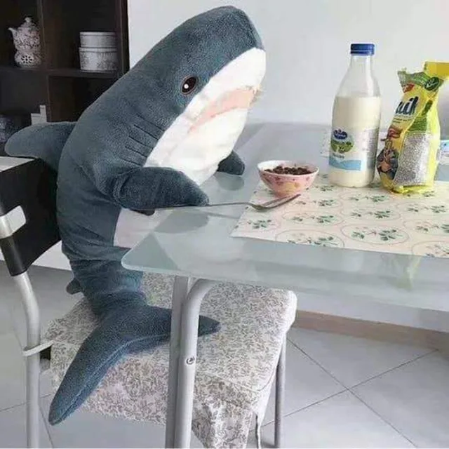 밥먹는상어
