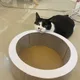 녕냥