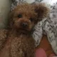 가을이에오