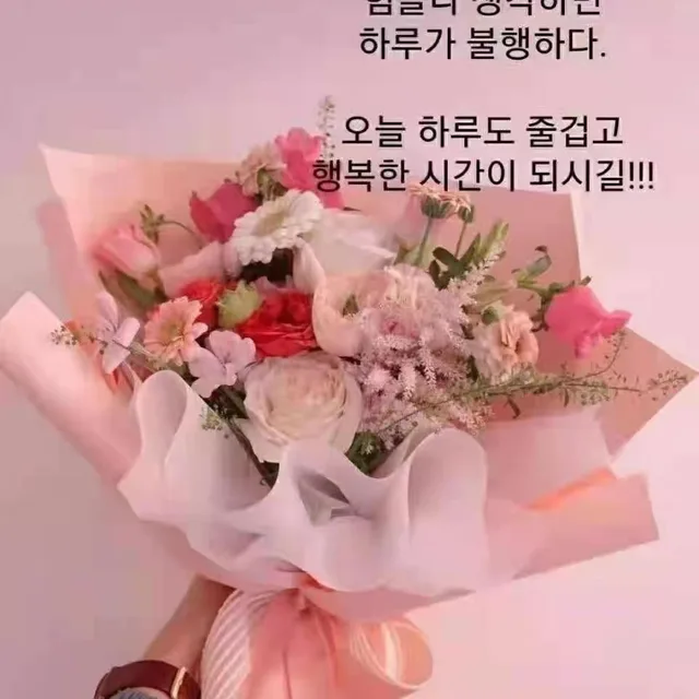 양배추