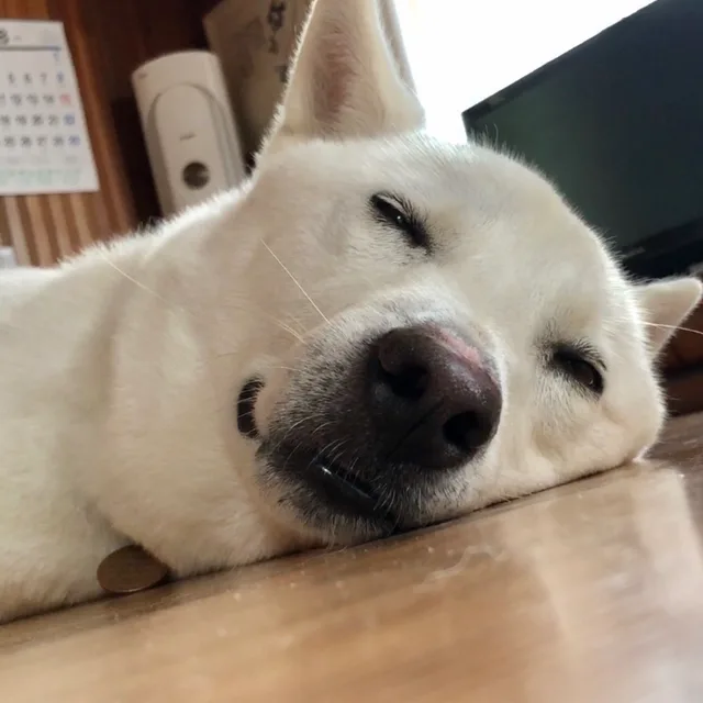 바니바니