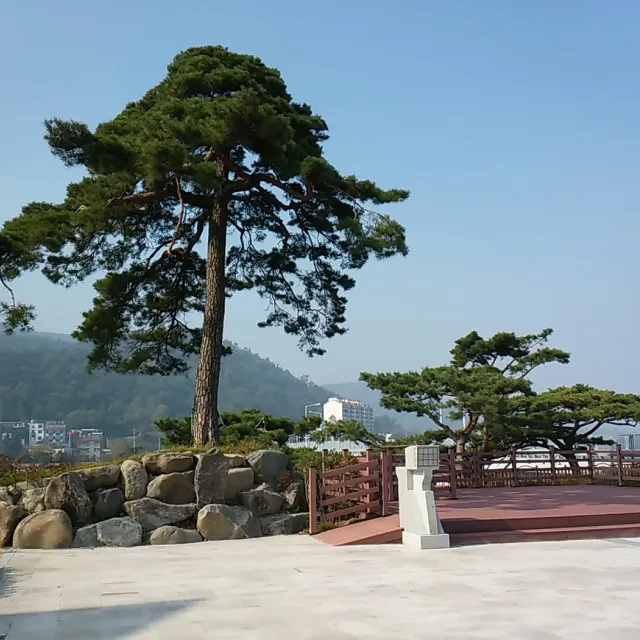 중화산동아부지