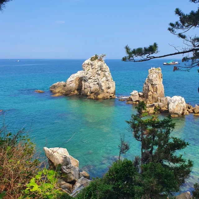 동동이