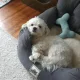 수연