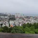 그레이
