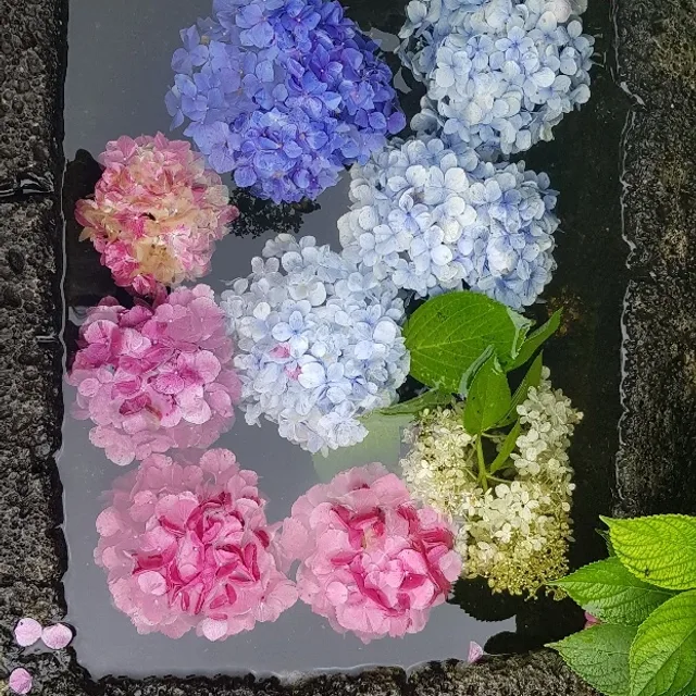 멋진인생