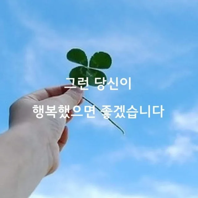 안개꽃