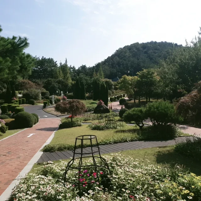 행운이가득가득