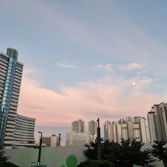 광교맘