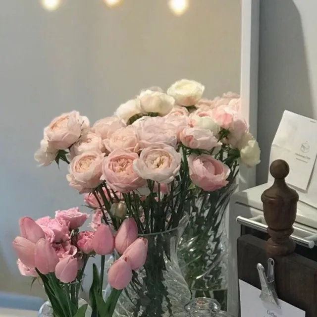 보리