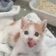 우람이