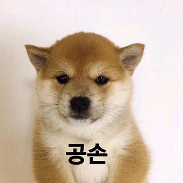 깍아달라하면무는개