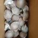사오정