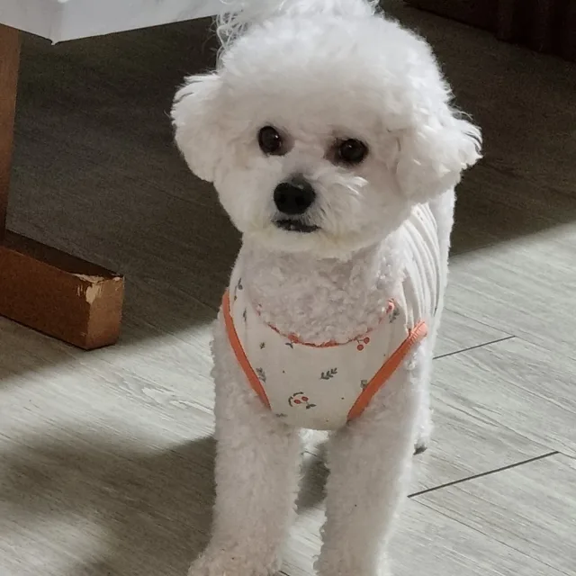 쎄븐큐