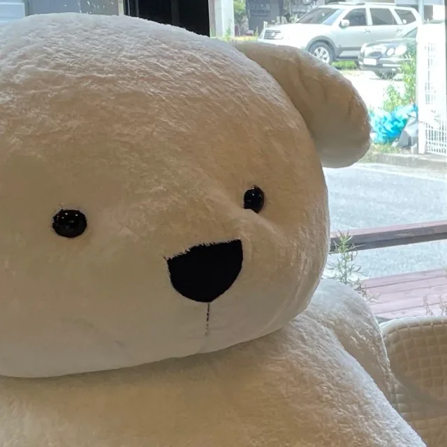 곰곰