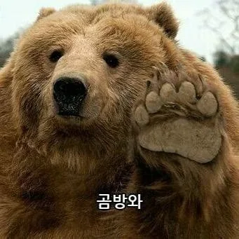 빛과송금