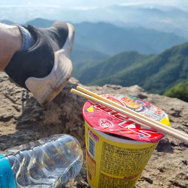 장군초이