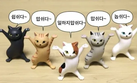 식식