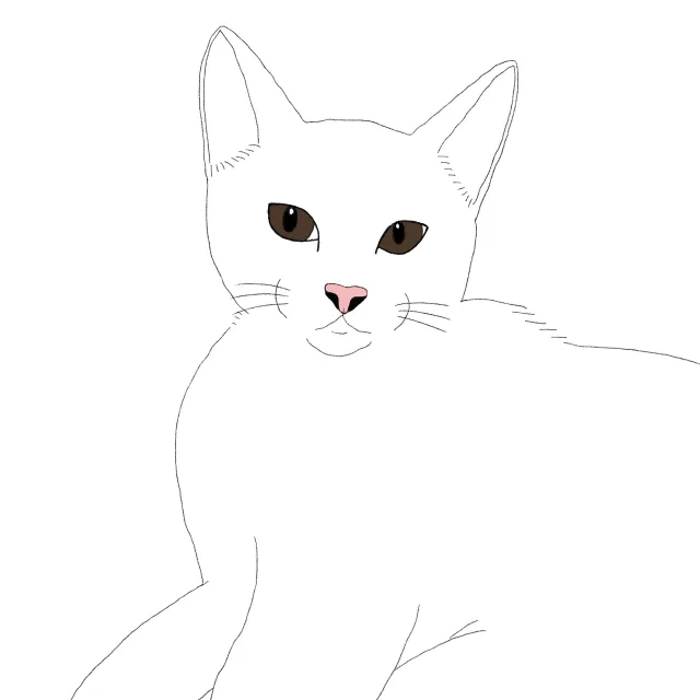 애옹이