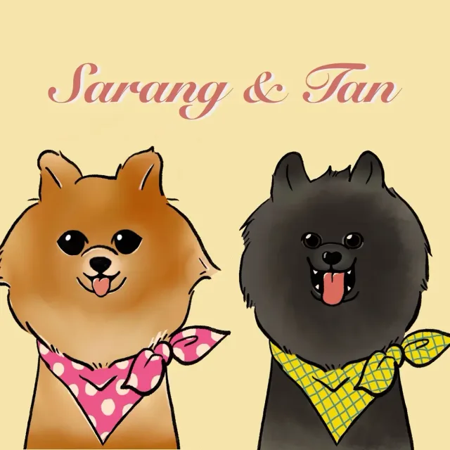 캠핑family
