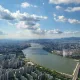 우리집강아지들