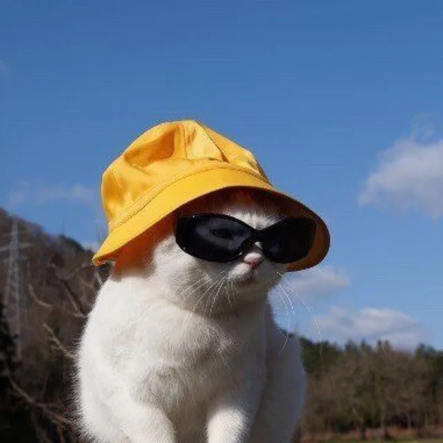 쿙쿙