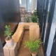 스테라