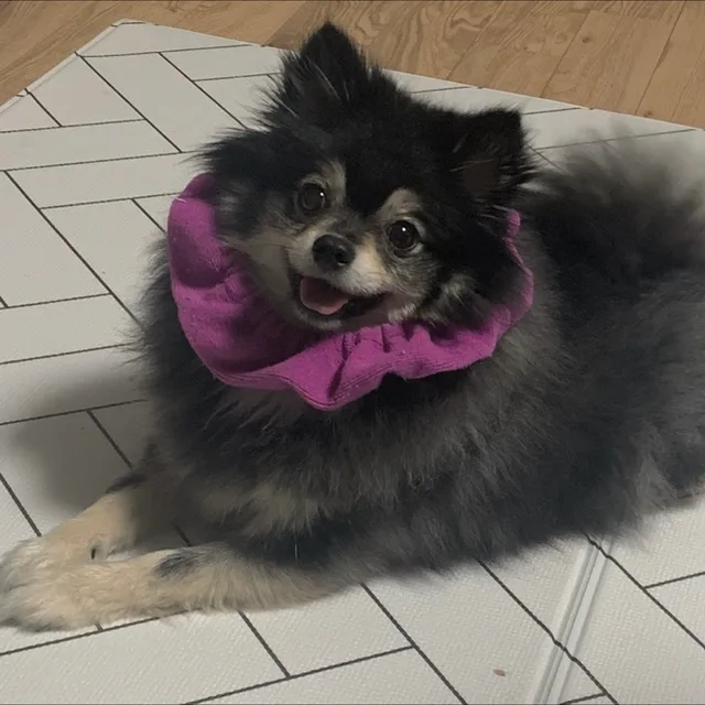 쿠우운