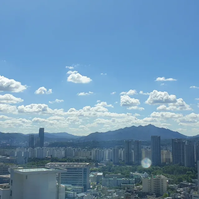 진돌이p2460