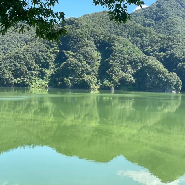당근당긍